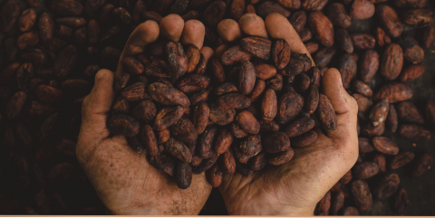 Our coffees are roasted to perfection